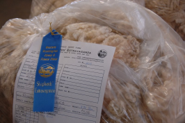 Blue ribbon on bag of fleece.