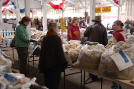 Fleece buyers trying to decide.