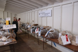 Tables of Shetland fleeces, North American Shetland Sheepbreders Association.